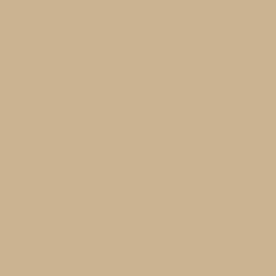 5Y12 Gold