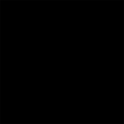 Black I511