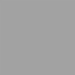 Grey 6010