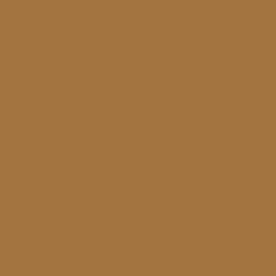 5Y58 Gold