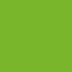 Green 4517