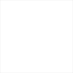 White J511