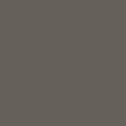 Havana Brown 1438